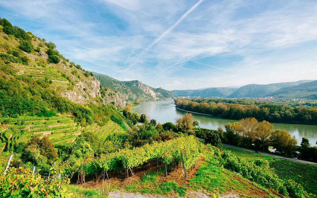 Wachau Day Trip With Free Time in Melk Image 5