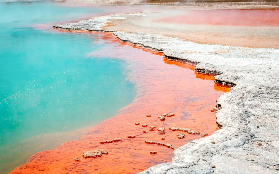 Wai-O-Tapu Thermal Wonderland Tickets Image 1