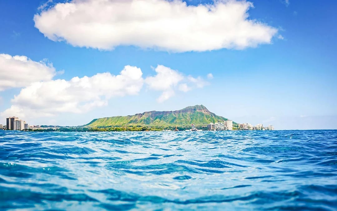 Waikiki Marine Life Cruise on Glass-Bottom Boat Image 11
