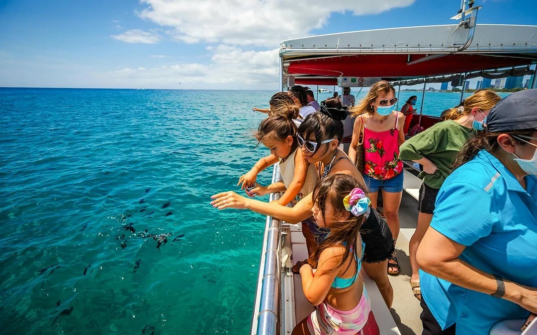 Waikiki Marine Life Cruise on Glass-Bottom Boat Image 7