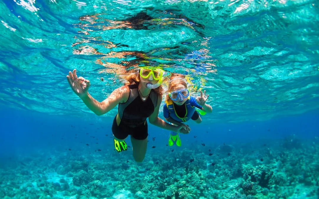 Waikiki Snorkel Sails Image 6