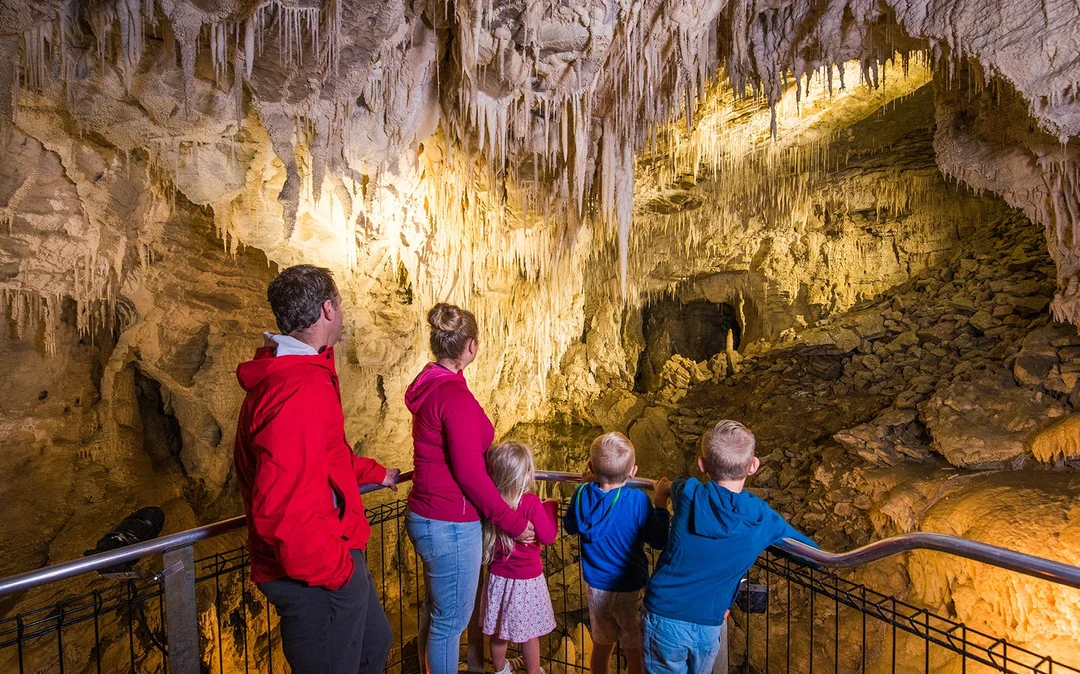 Waitomo Glowworm Caves Guided Tour Image 2