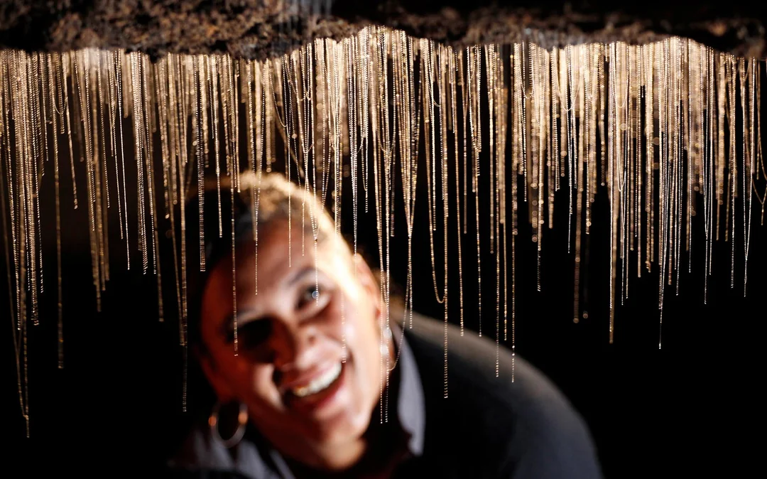 Waitomo Glowworm Caves Guided Tour Image 4