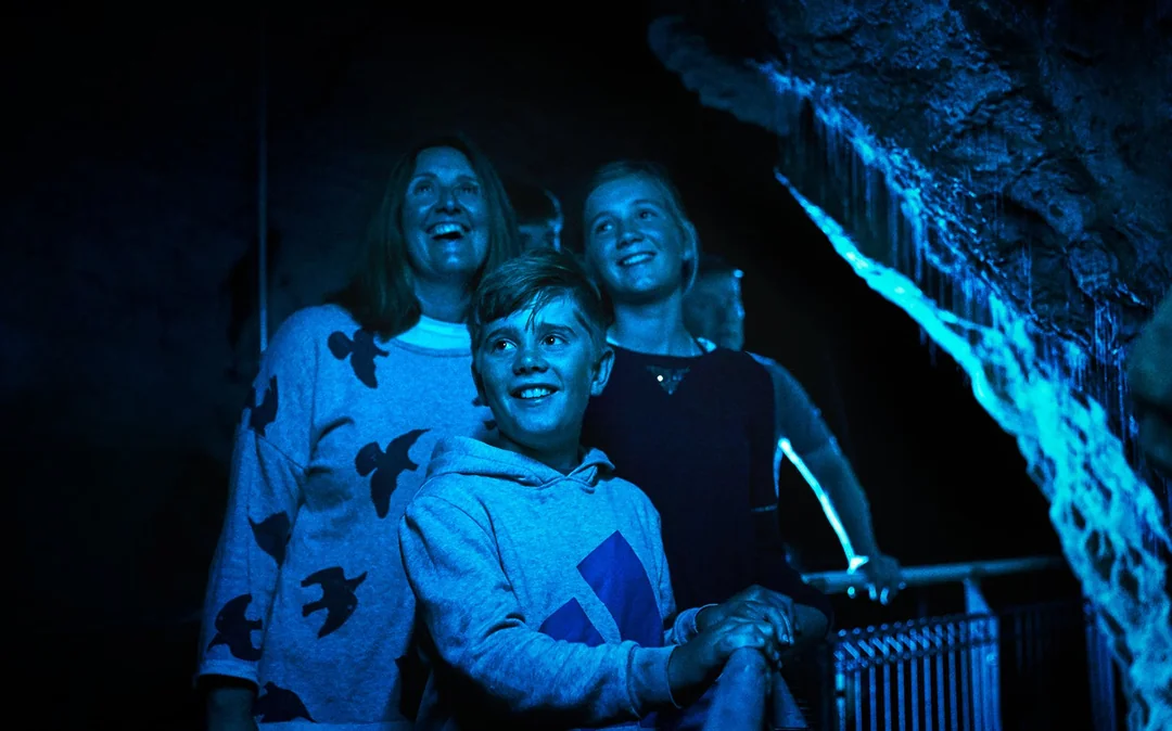 Waitomo Glowworm Caves Guided Tour Image 5