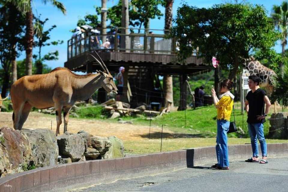 Wakayama Adventure World | Japan