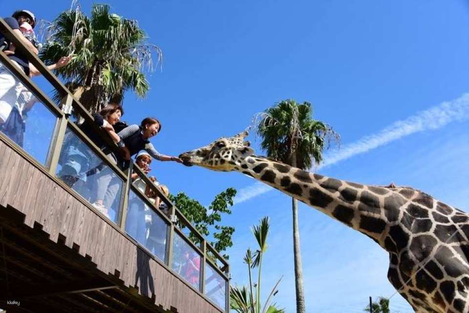 Wakayama Adventure World | Japan