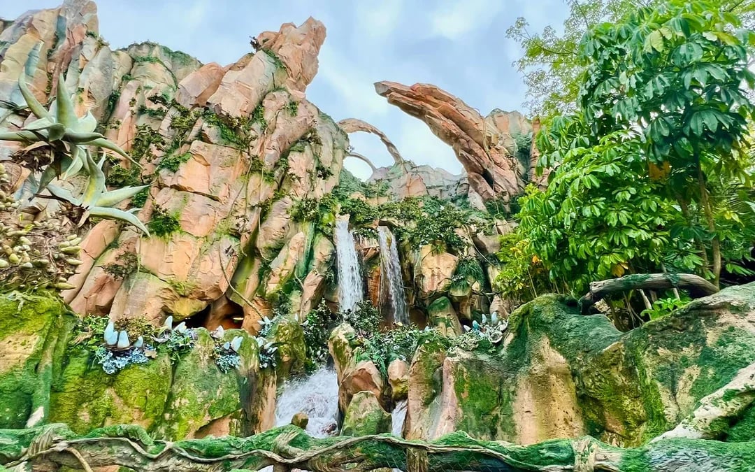 Walt Disney World Orlando 1-Day Tickets Image 6