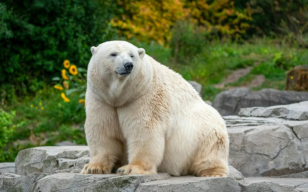 Warsaw Zoo Skip-the-Line Tickets Image 2