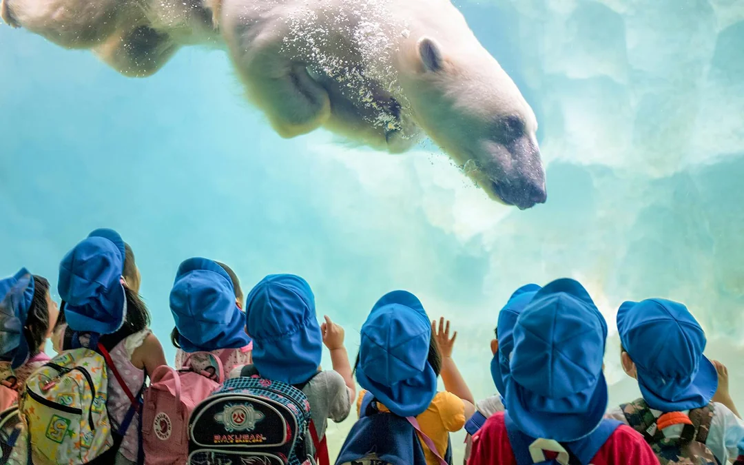 Warsaw Zoo Skip-the-Line Tickets Image 6
