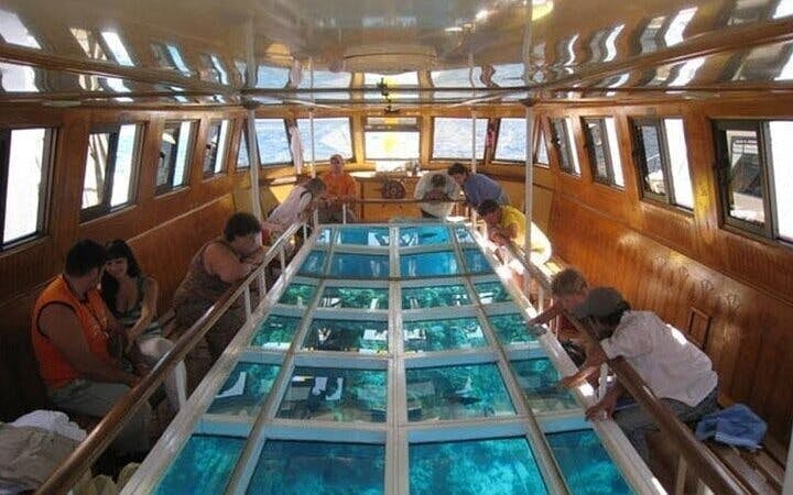 Water Skiing with Glass Boat Viewing and Transfer–Sharm El Sheikh Image 3