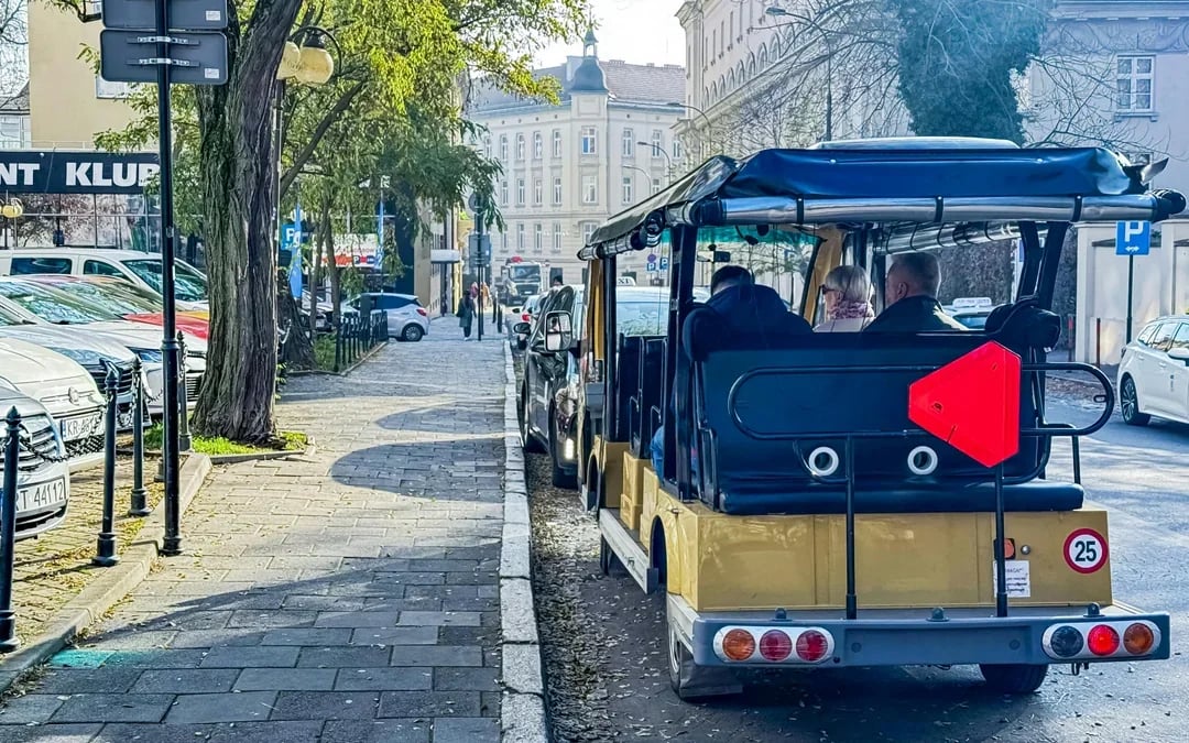 Wawel Castle & Cathedral Guided Tour with Old Town Sightseeing by Golf Cart Image 6
