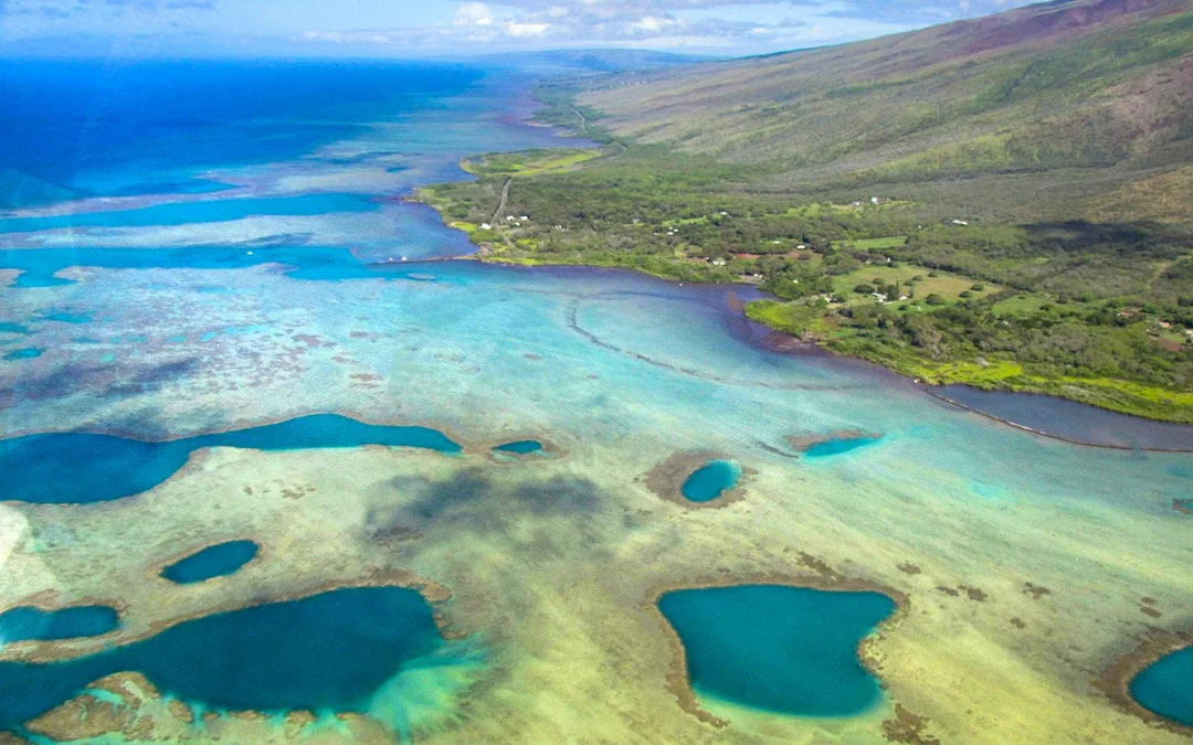 West Maui & Molokai Helicopter Tour Image 7