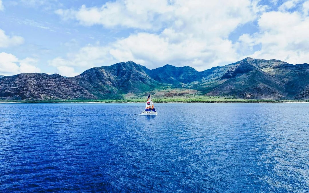 West Oahu Guided Whale Watching Catamaran Sail Image 7