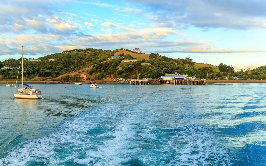 Western Explorer: Waiheke Island Hop-on Hop-off Bus Tour with Optional Ferry Transfers Image 2
