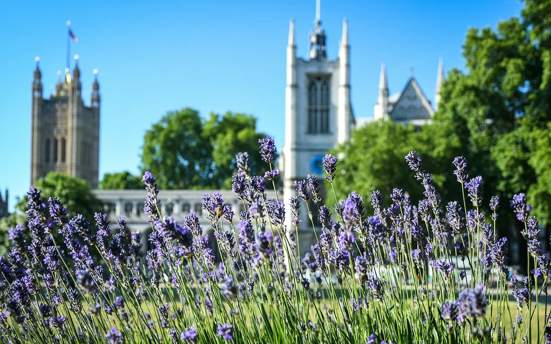 Westminster 3-hour Small-Group Guided Walking Tour & Tower Bridge Entry Tickets Image 11
