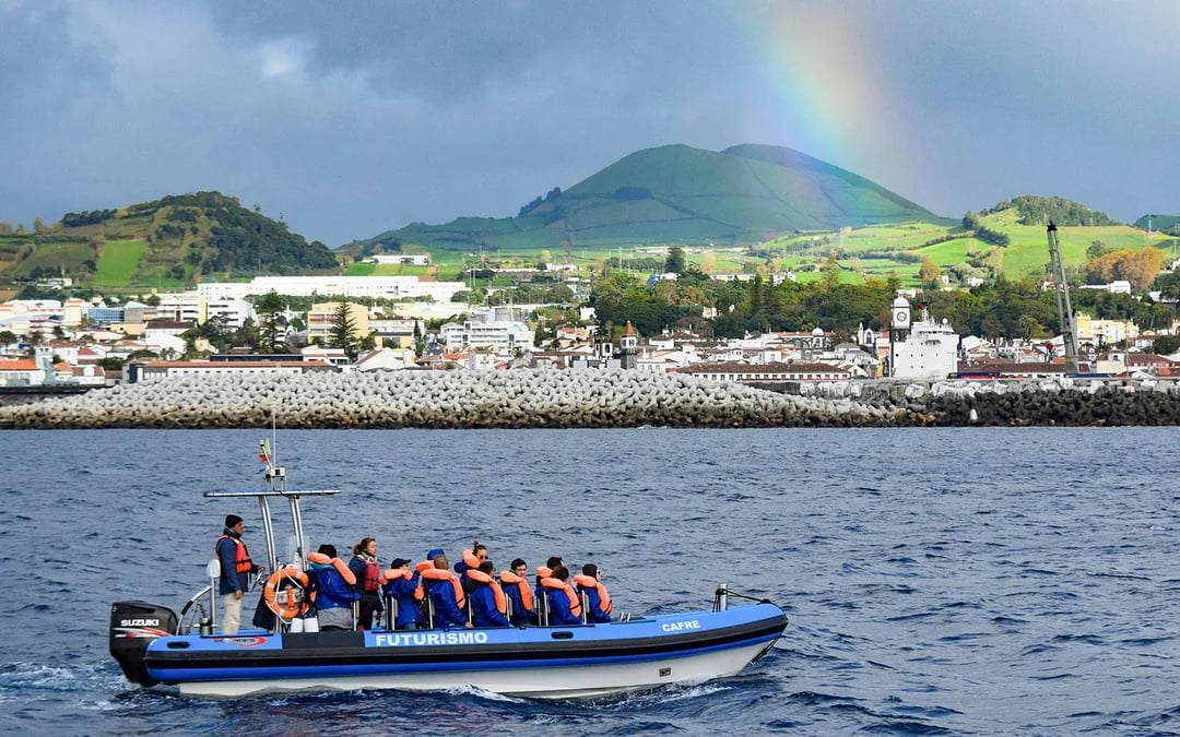 Whales and Dolphins Sightseeing Boat Tour in Azores Islands Image 5