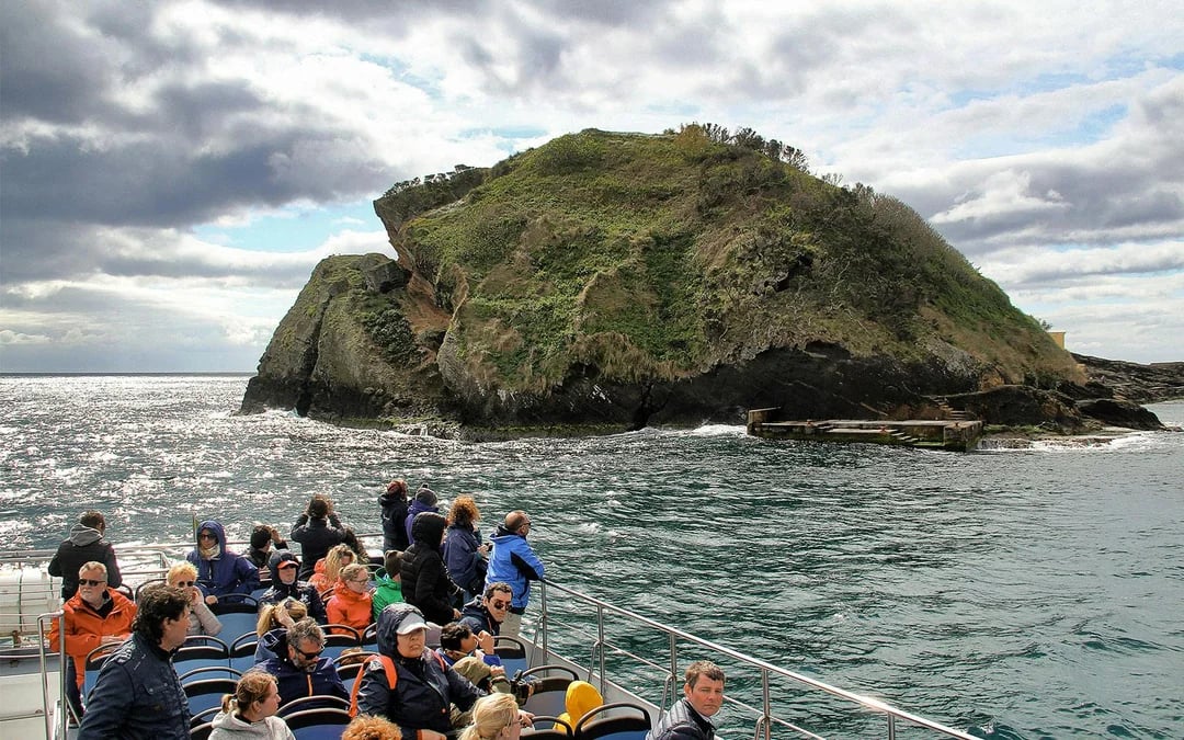 Whales and Dolphins Sightseeing Boat Tour in Azores Islands Image 7