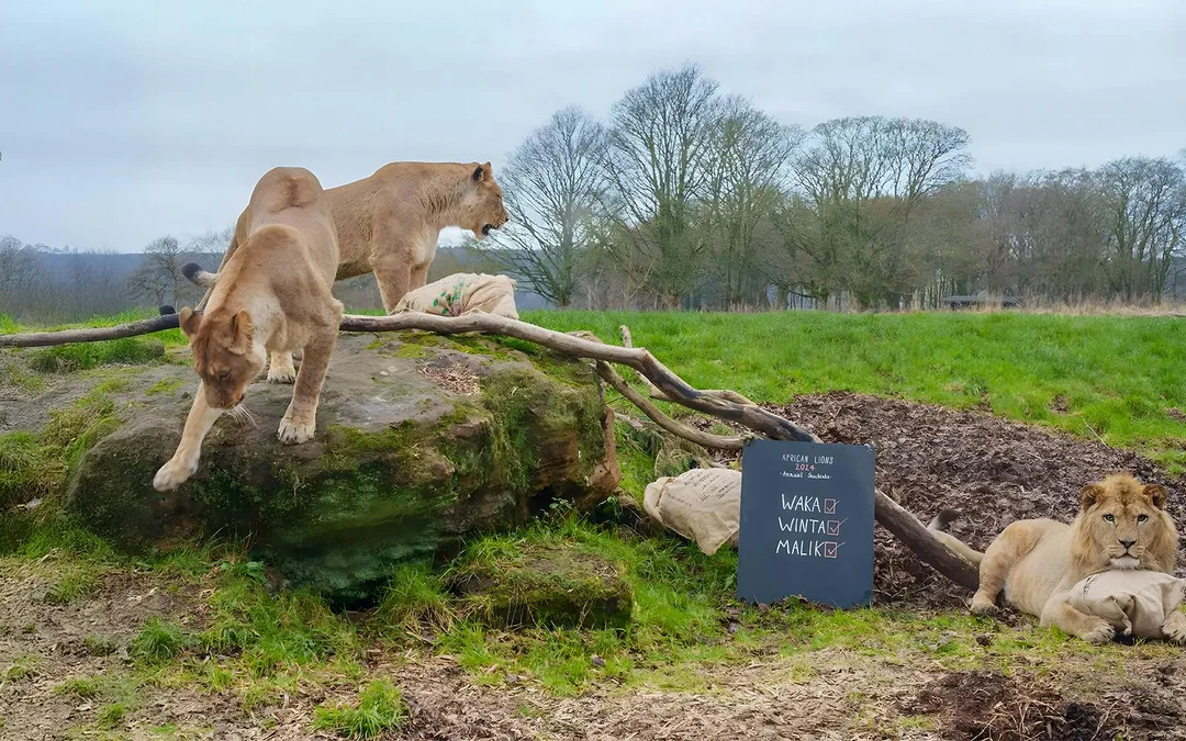 Whipsnade Zoo Entrance Tickets Image 2