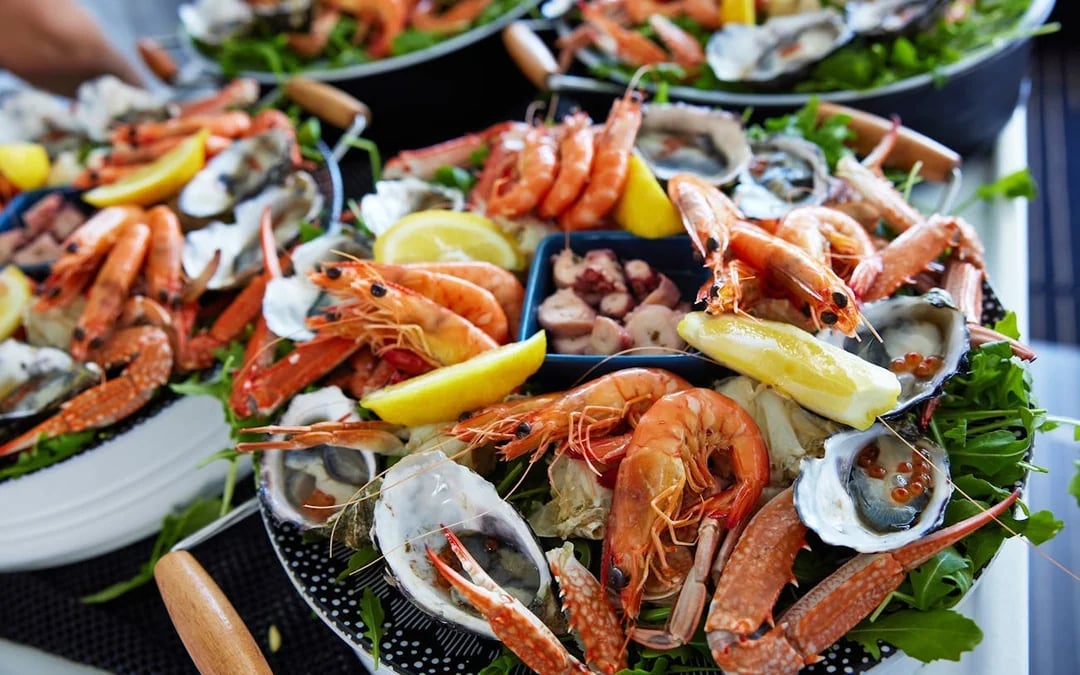 Wild Seafood Experience Catch-and-Dine Cruise in Mandurah Image 3