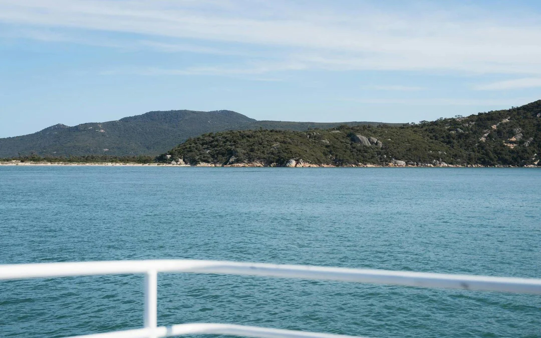 Wilsons Prom Whale Adventure Cruise with Lunch Image 5