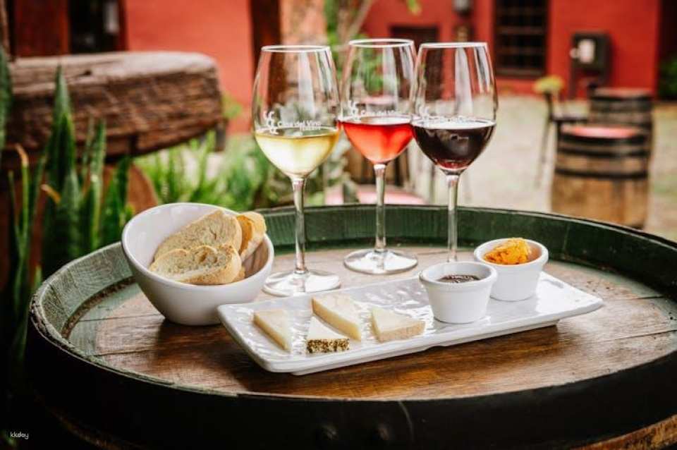 Wine Museum tickets and Malvasia tasting