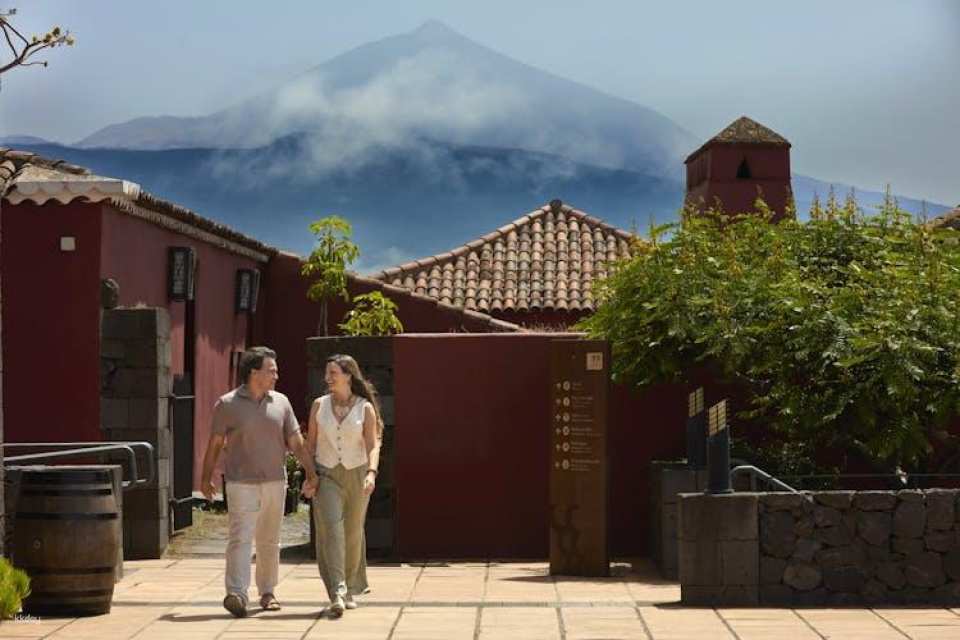 Wine Museum tickets and Malvasia tasting