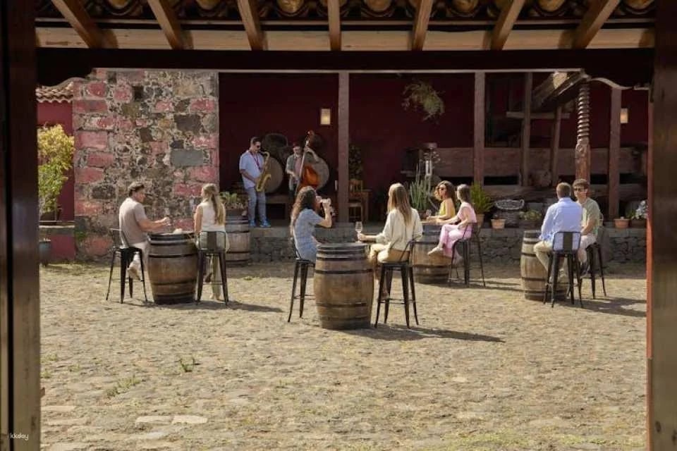 Wine Museum tickets and Malvasia tasting