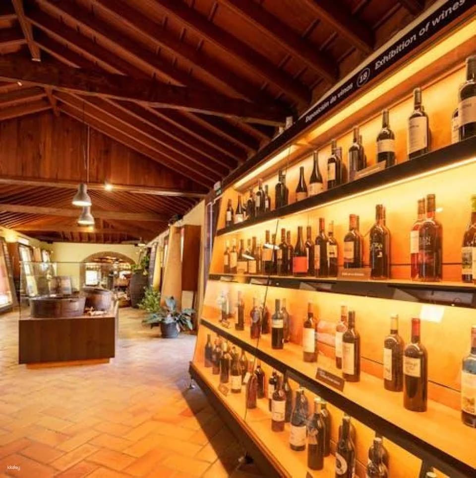 Wine Museum tickets and Malvasia tasting