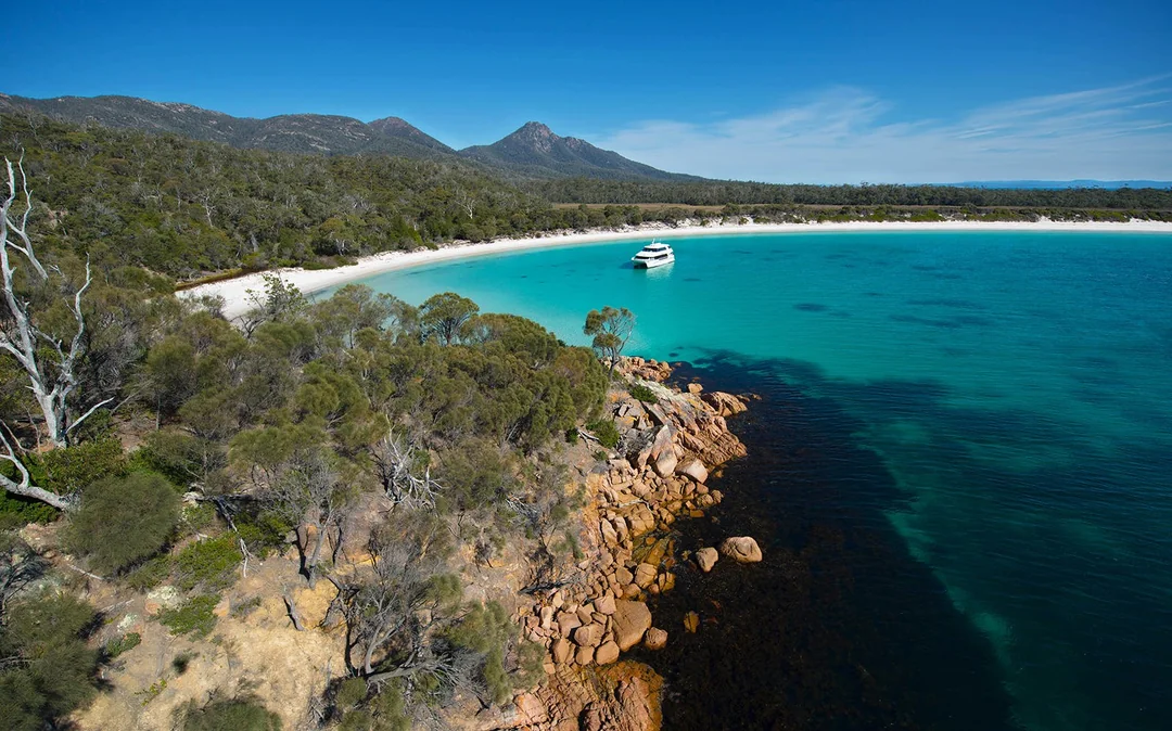 Wineglass Bay Cruises Image 5