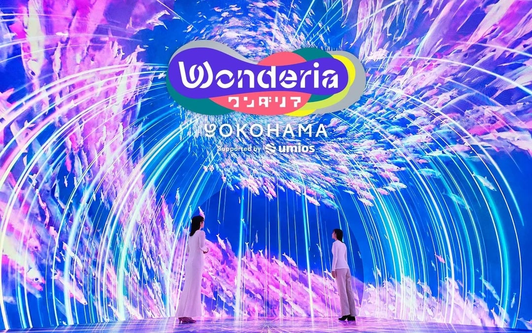 Wonderia YOKOHAMA Supported by Umios Admission Image 1