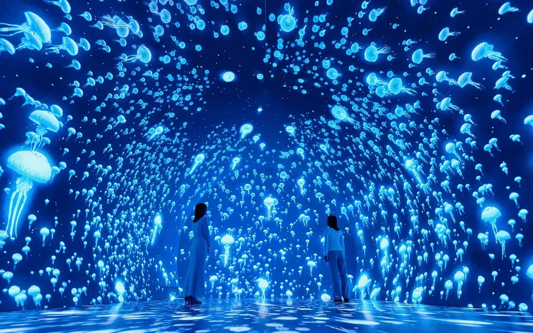 Wonderia YOKOHAMA Supported by Umios Admission Image 3