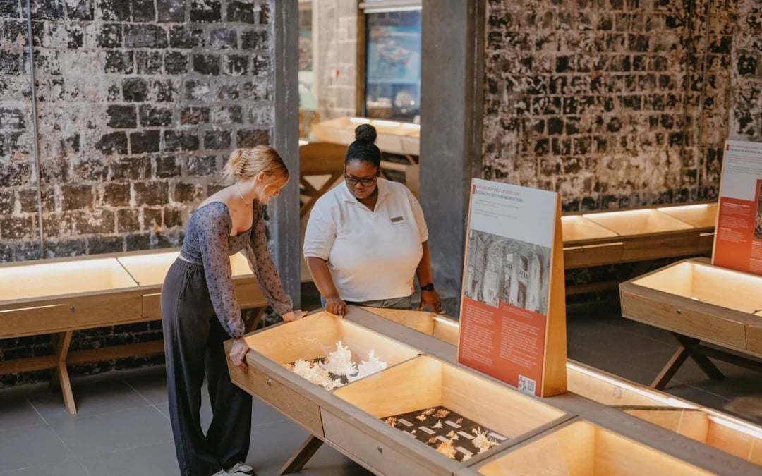 World of Seashells Museum Ticket – Access to Africa’s Largest Seashell Collection in Mauritius Image 6