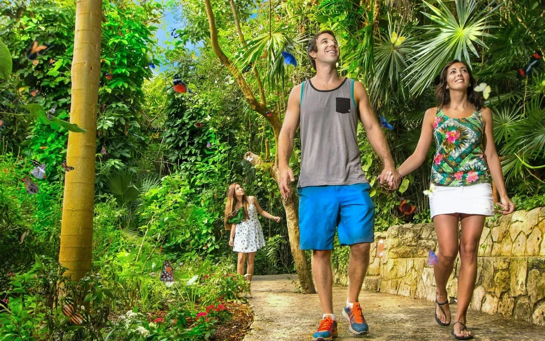 Xcaret Park Entry Tickets With Hotel Pick Up Image 10