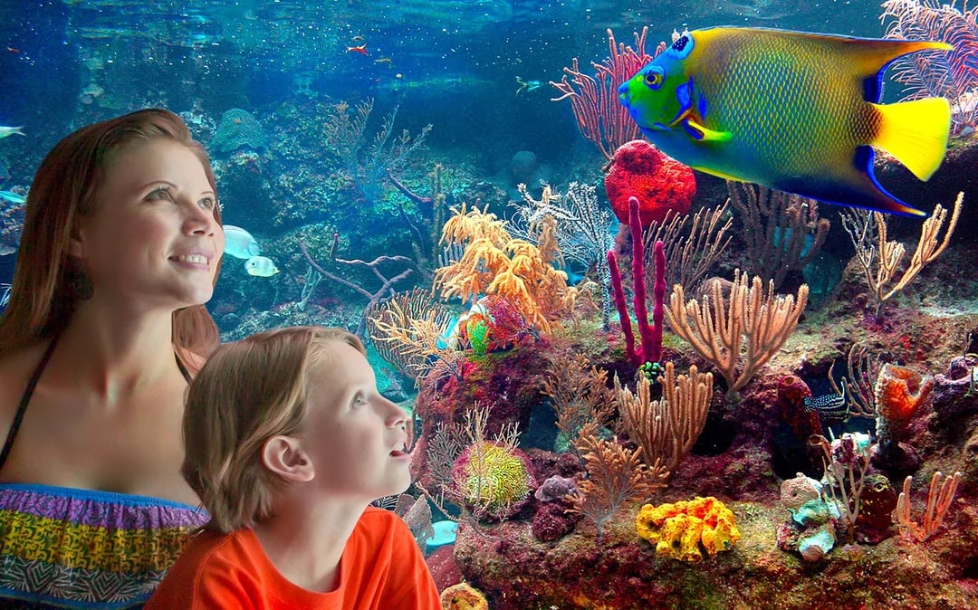 Xcaret Park Entry Tickets Image 4