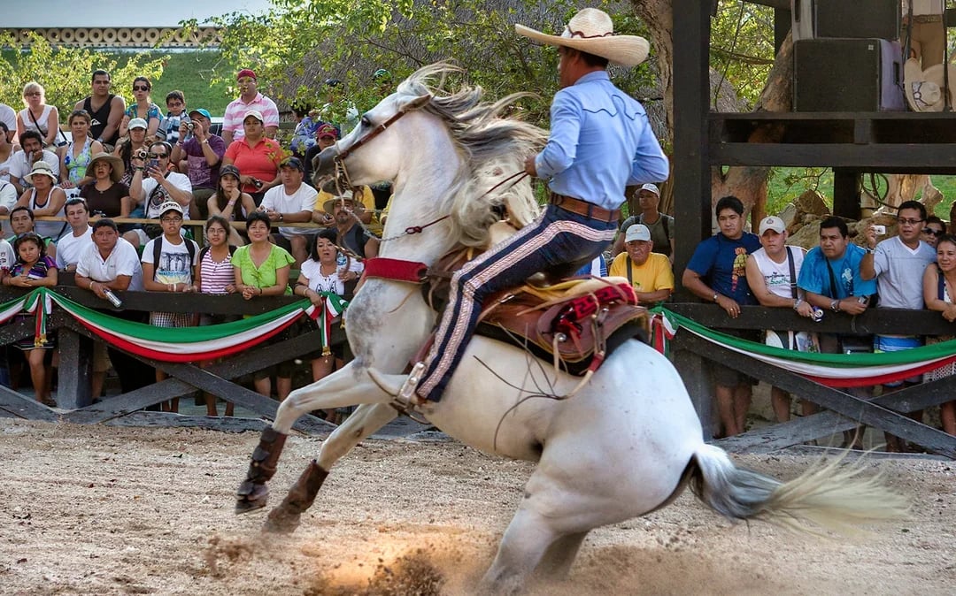 Xcaret Park Entry Tickets Image 7