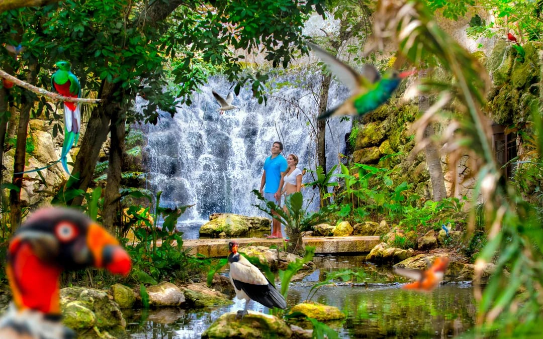 Xcaret Park Plus Entry Tickets With Hotel Pick Up & Buffet Lunch Image 4