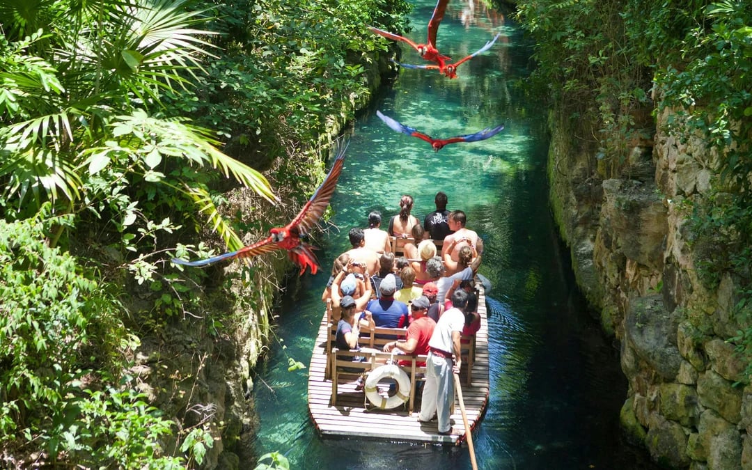 Xcaret Park Plus Entry Tickets With Hotel Pick Up & Buffet Lunch Image 9