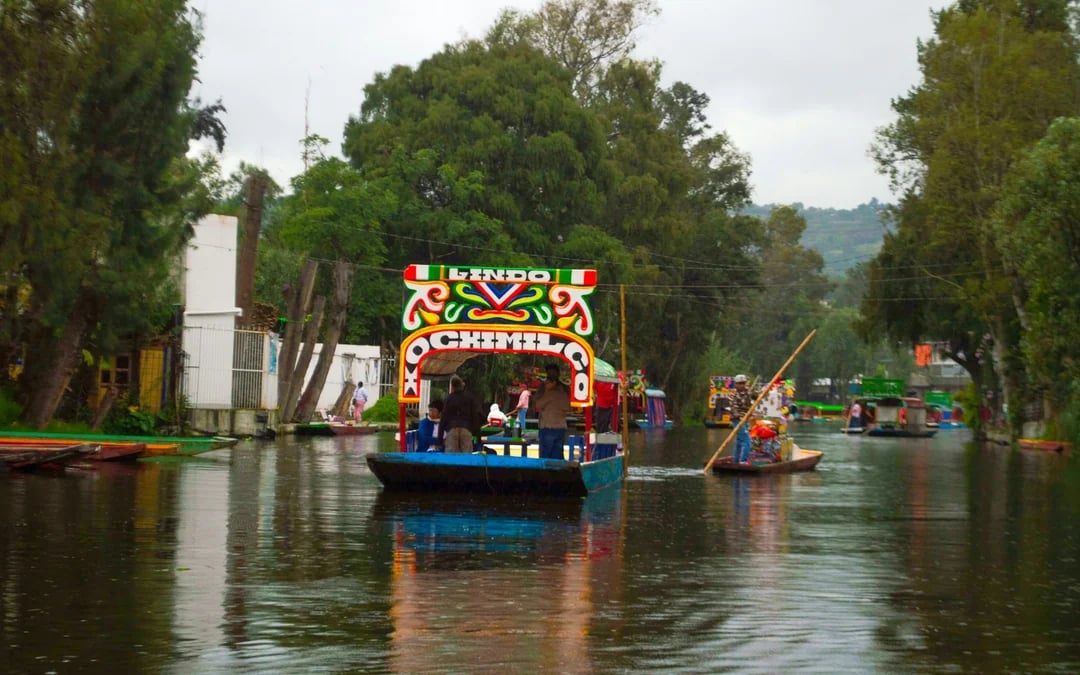 Xochimilco, Coyoacán & UNAM Guided Tour with Trajinera Ride Image 1
