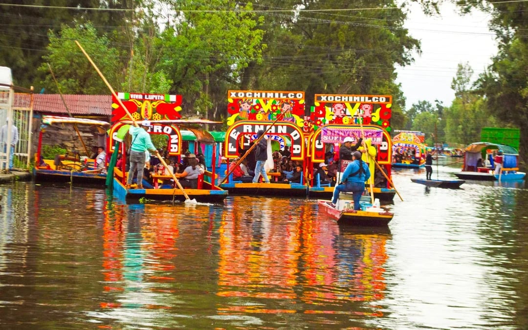 Xochimilco, Coyoacán & UNAM Guided Tour with Trajinera Ride Image 2