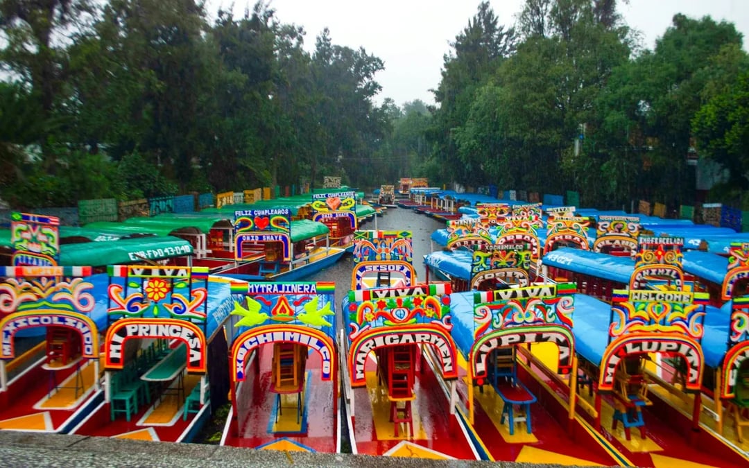 Xochimilco, Coyoacán & UNAM Guided Tour with Trajinera Ride Image 3