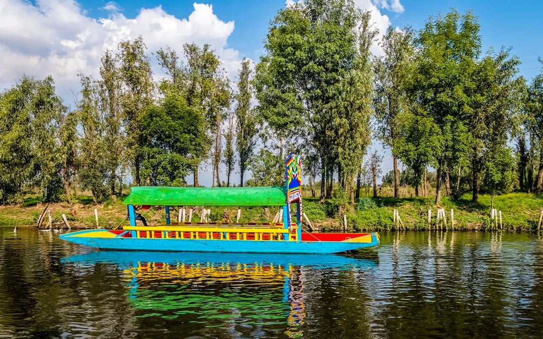Xochimilco Trajinera Party with Unlimited Food and Drinks Image 9