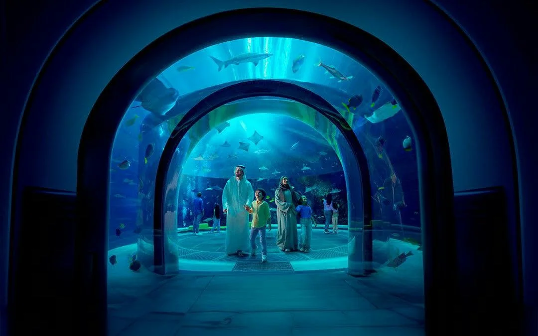 Yas Island Abu Dhabi: Multi-Park Hopper Pass - Save up to 50% Image 12