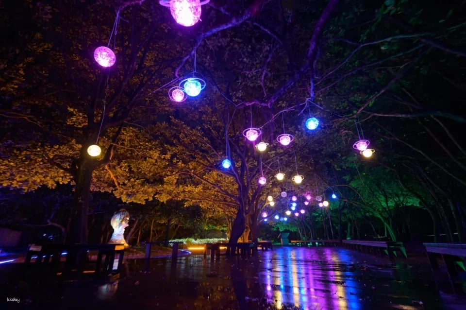 Yehliu Geopark | 2026 Yehliu Geopark "Stone Light Night Visit to the Queen" event admission ticket