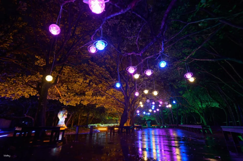 Yehliu Geopark | 2026 Yehliu Geopark "Stone Light Night Visit to the Queen" event admission ticket