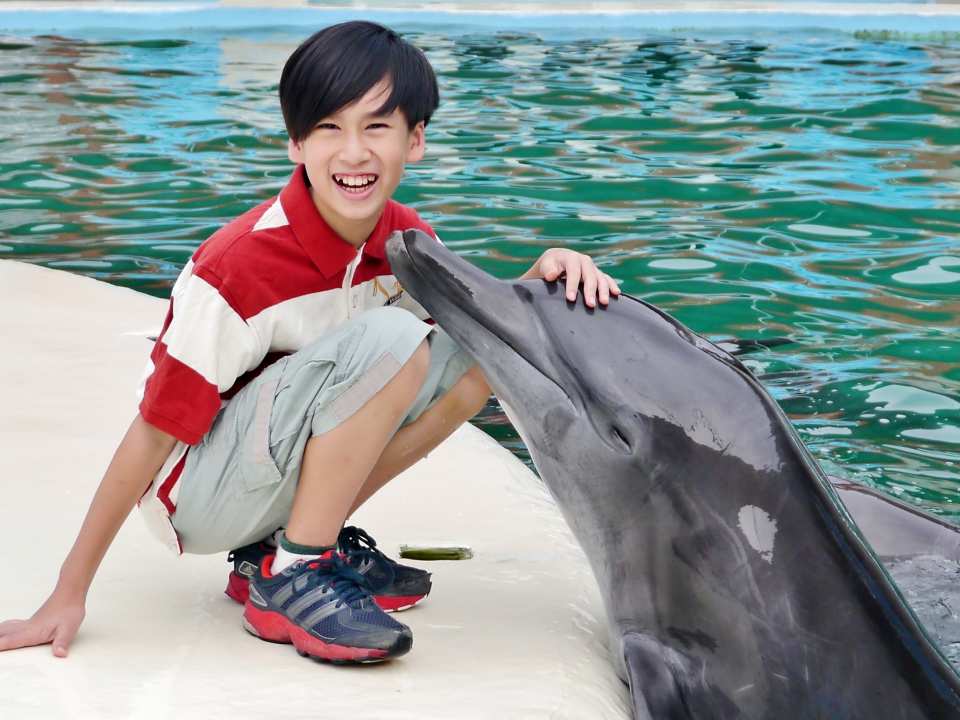 Yehliu Ocean World Ticket