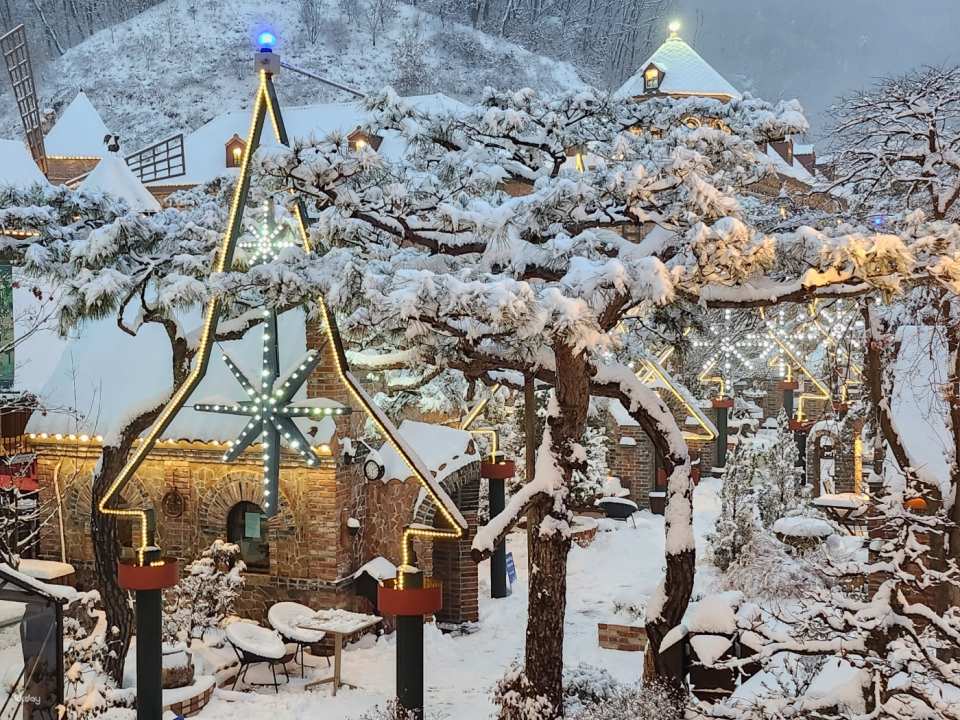 Yeoju Ludensia Admission Ticket | South Korea