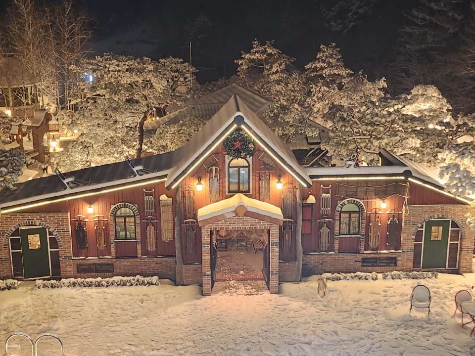 Yeoju Ludensia Admission Ticket | South Korea