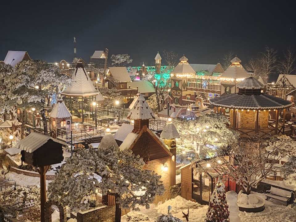 Yeoju Ludensia Admission Ticket | South Korea