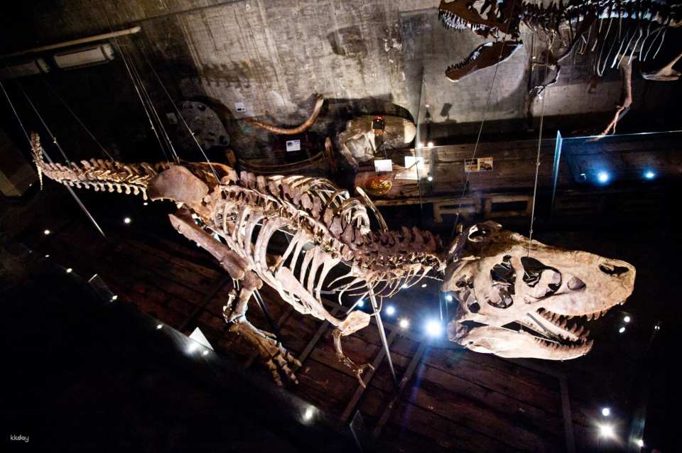 Yilan｜Suao Robert Y Ruin Tyrannosaurus Museum Package