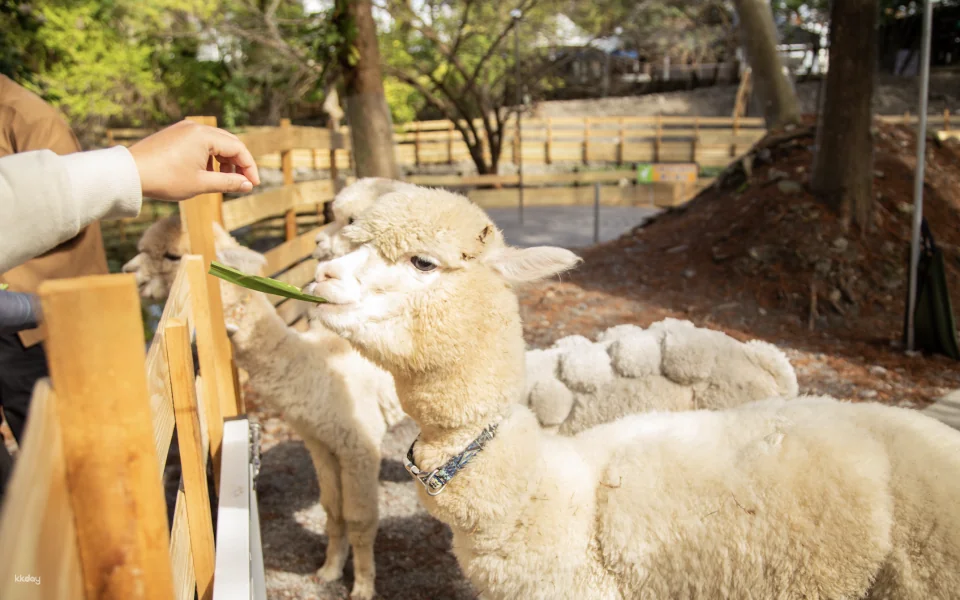 Yilan Waterfront Forest Zoo Admission Ticket